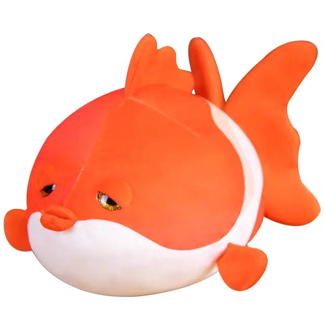 50cm