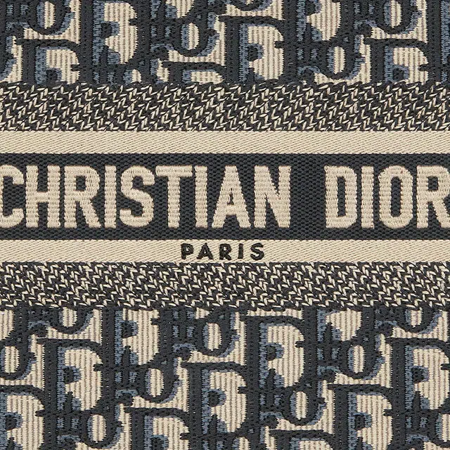 DIOR BookTote Tote
