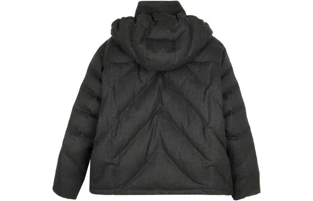 FW23