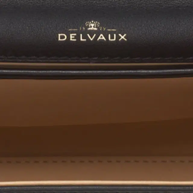 Delvaux Tempte