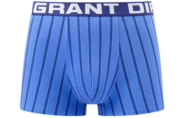 GXG 1