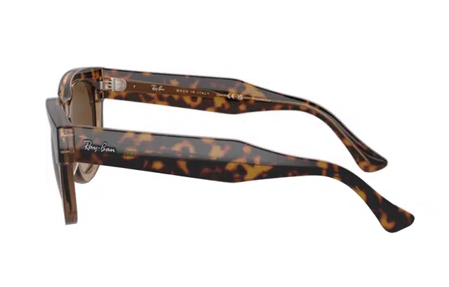RayBan