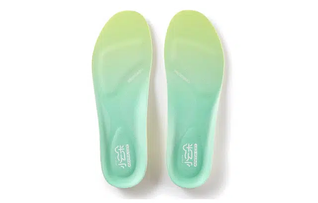 Anta