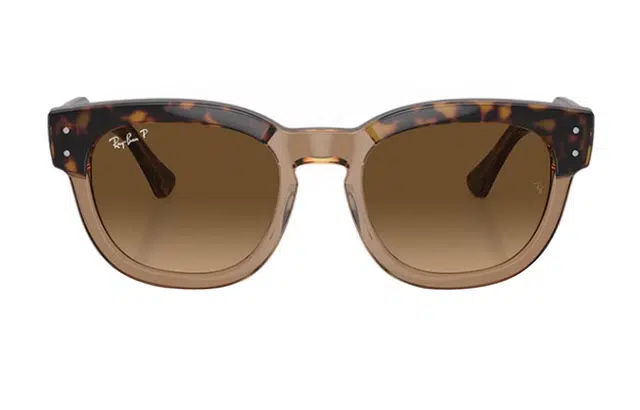 RayBan