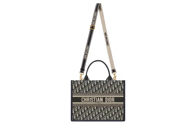 DIOR BookTote Oblique Tote