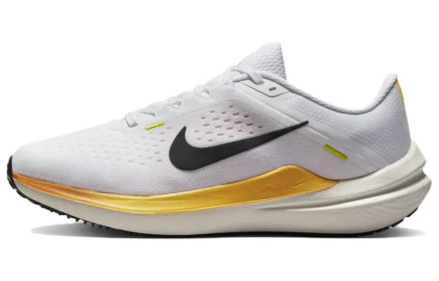 Nike Air Winflo 10