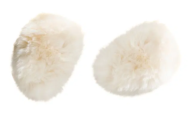 优幽兰 保暖防风防寒分体护耳朵耳捂韩版简约 耳罩 女款