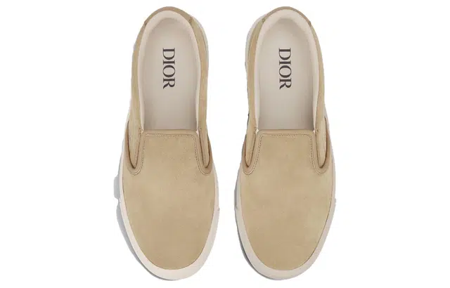 DIOR B101