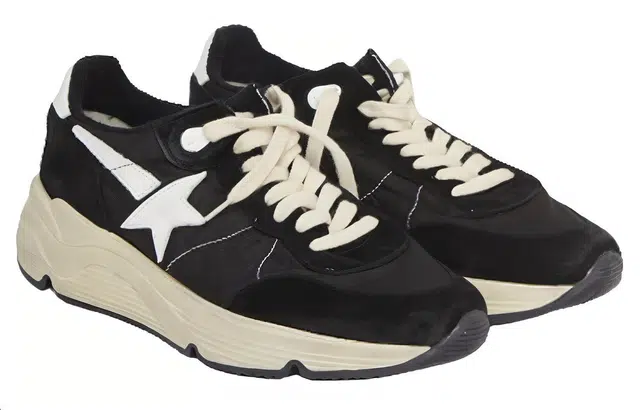 Golden Goose