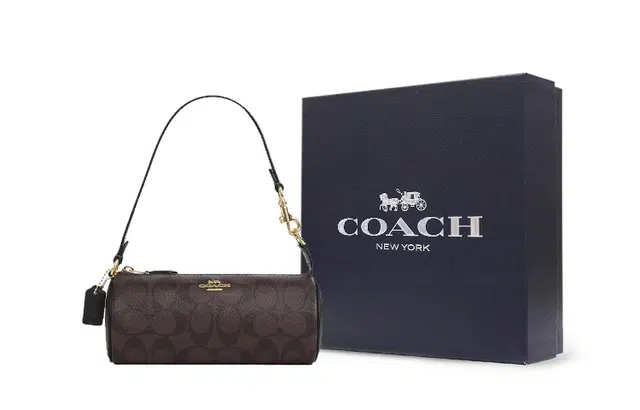 COACH Nolita 20