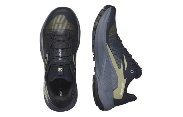 SALOMON GENESIS