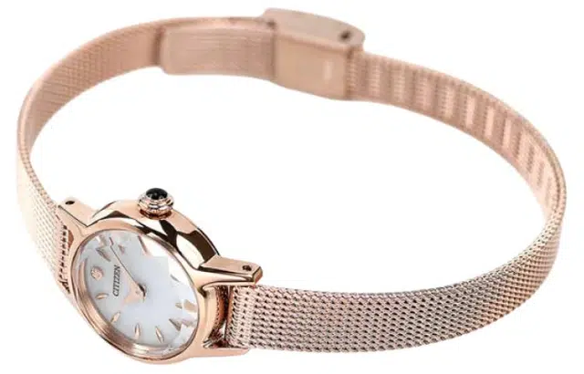 CITIZEN EG2992-51A