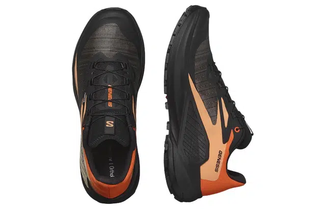 SALOMON Genesis
