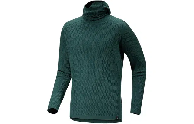 Arcteryx Hallam Merino Wool Hoody