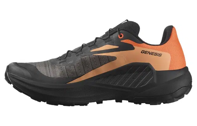 SALOMON Genesis