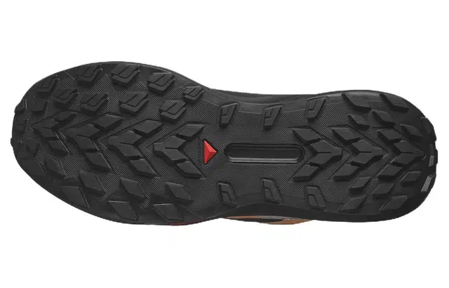 SALOMON Genesis