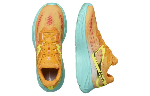 SALOMON Aero Glide