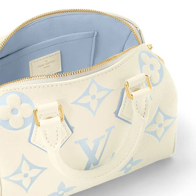 LOUIS VUITTON Speedy 20