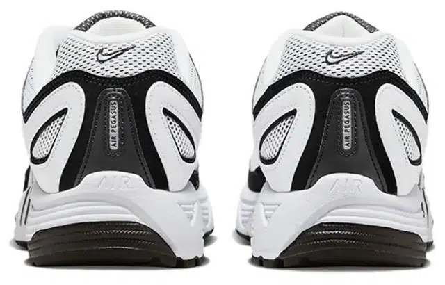Nike Air Pegasus 2005