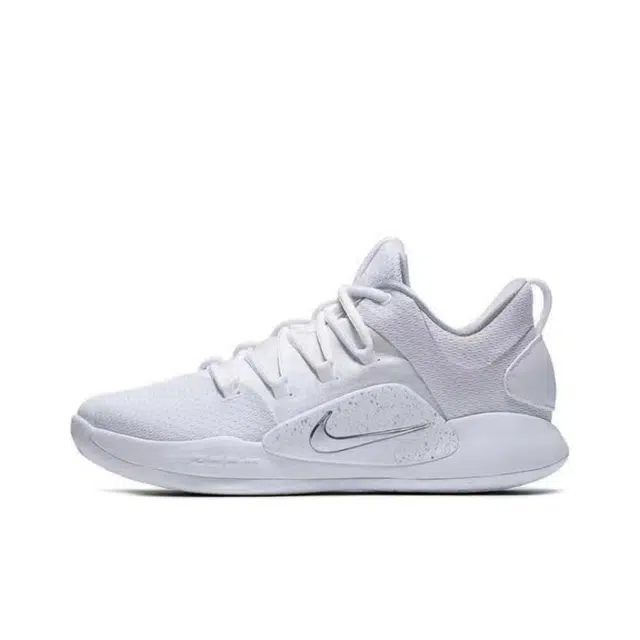 Nike Hyperdunk X Low Pure Platinum