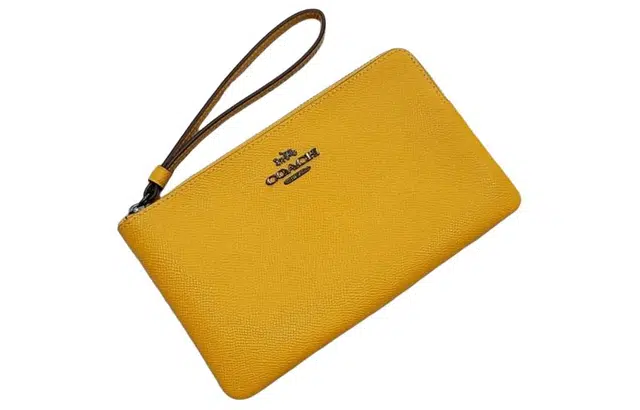 COACH Corner Zip 20