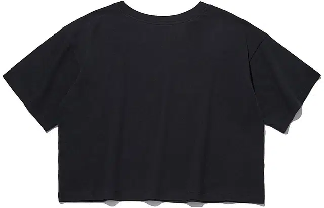 Champion T
