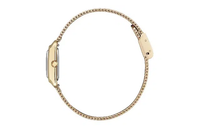 CITIZEN 22mm EW5593-64D