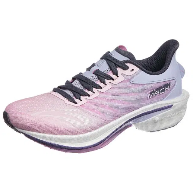 Anta 4