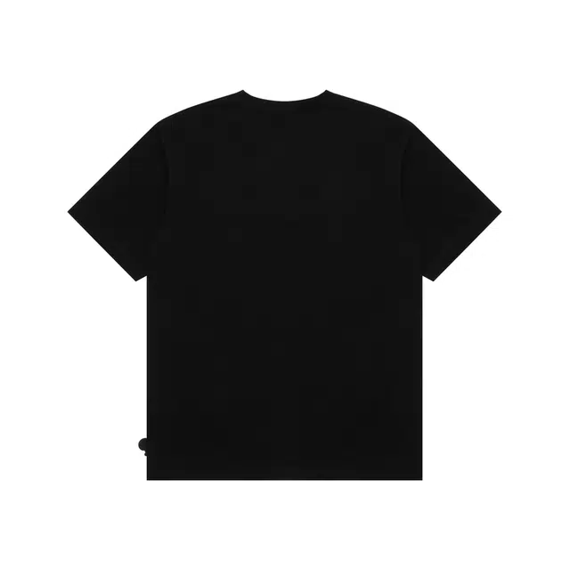 Aape T