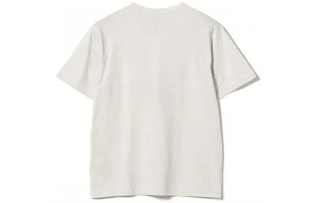 beams T