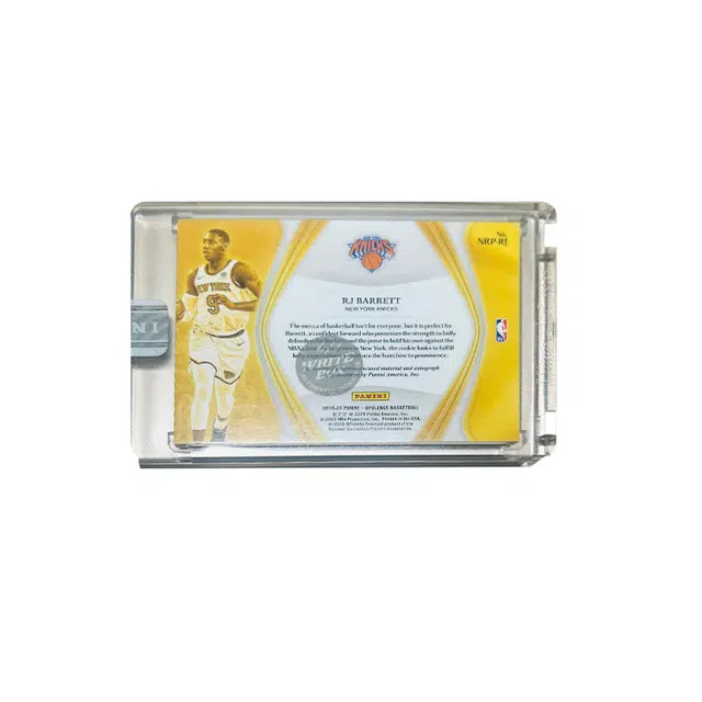 PANINI RJ