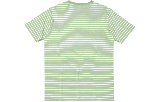 Champion T