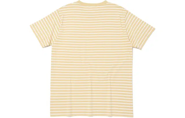 Champion T