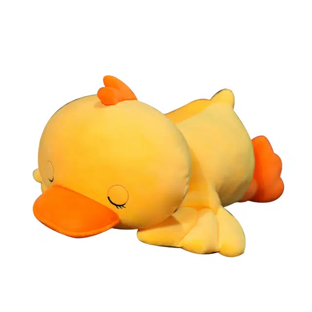 50cm65cm80cm