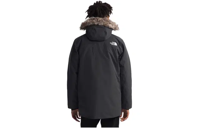 THE NORTH FACE Arctic Logo
