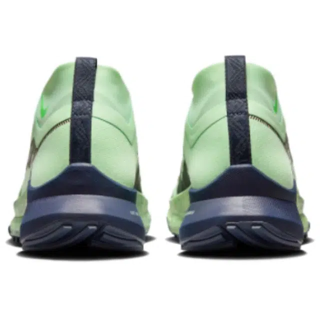 Nike Pegasus Trail 4 GORE-TEX
