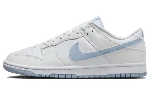 Nike Dunk Low Retro White Blue