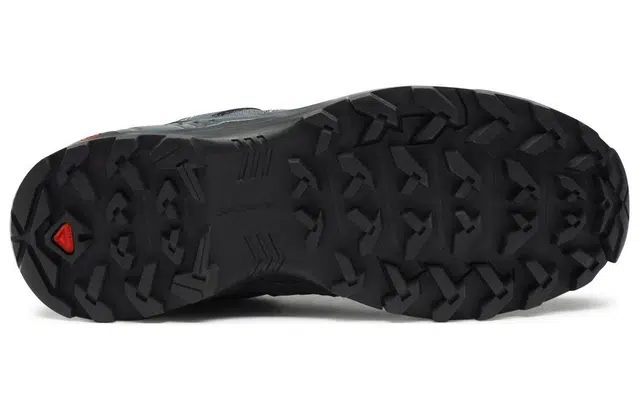 SALOMON X Braze GTX