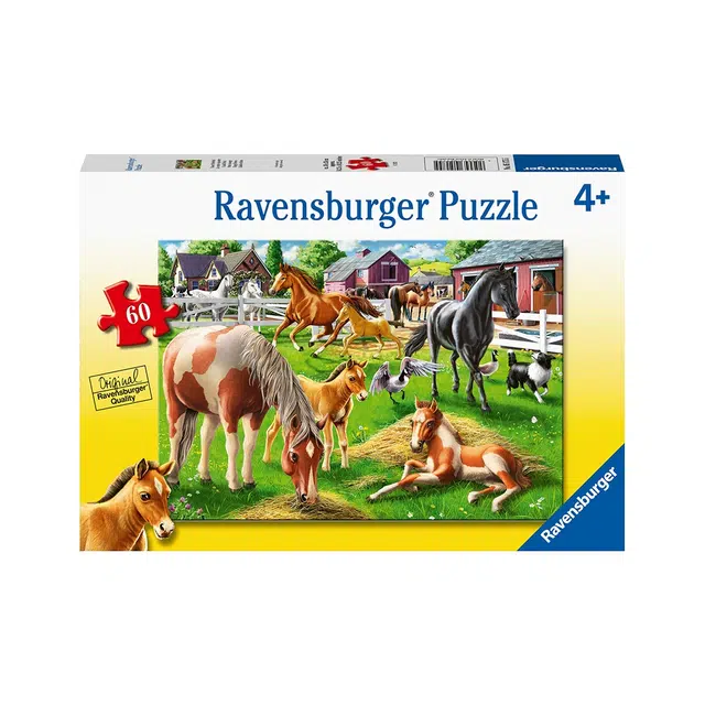 Ravensburger 60pcs 051755 4+