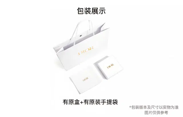 DIOR OBLIQUE
