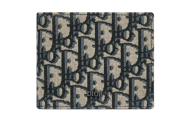 DIOR OBLIQUE