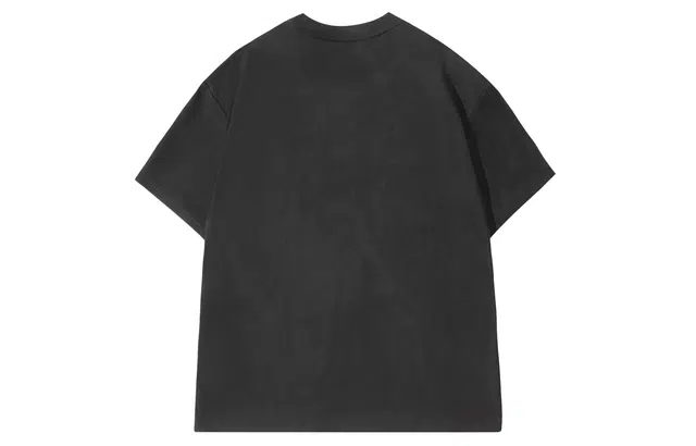 CENPIN T