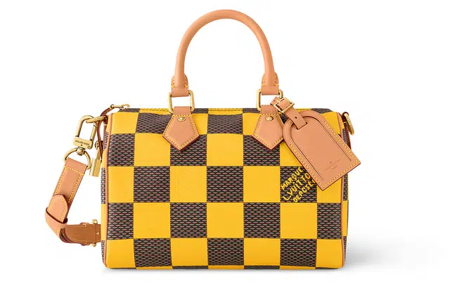 LOUIS VUITTON Speedy 25