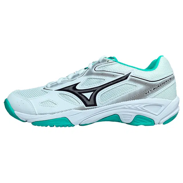 Mizuno