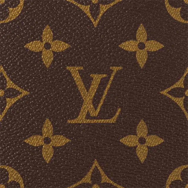 LOUIS VUITTON Monogram