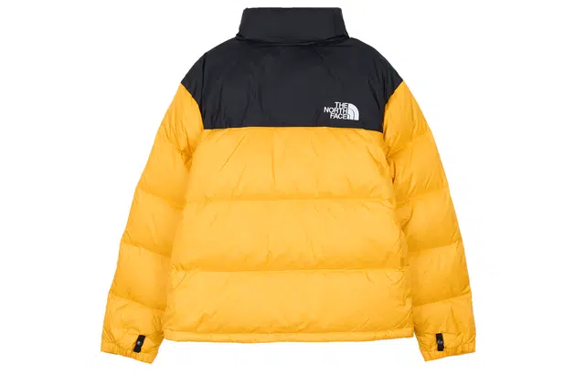 THE NORTH FACE 1996 ICON 700
