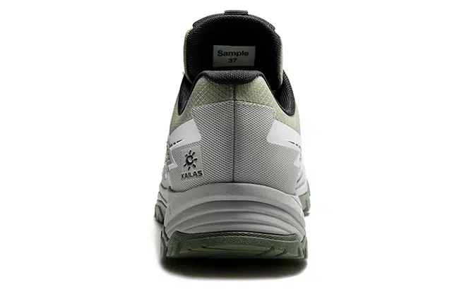 KAILAS -4 FLT