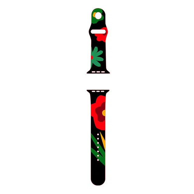 biaodaige applewatchiwatch