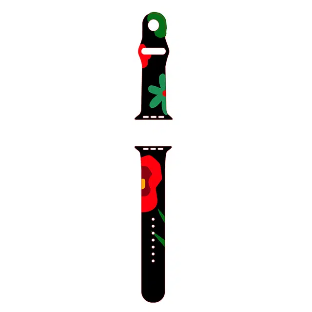 biaodaige applewatchiwatch
