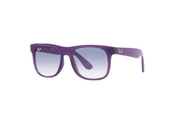 RayBan Logo